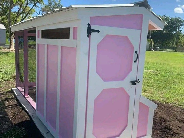 Buy a 4’x14’ Mansion chicken coop