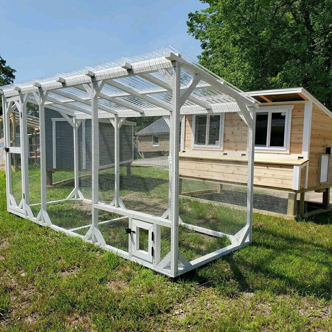 Buy 5×12 chicken coop