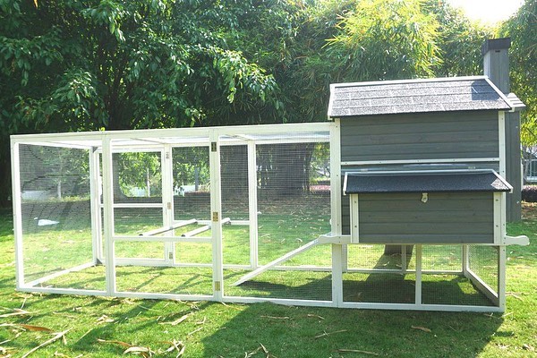 Buy Standford Chicken Coop