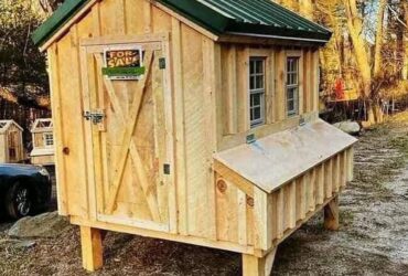 Buy pet/chicken coop