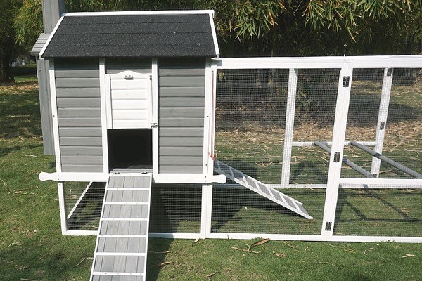 Buy Standford Chicken Coop