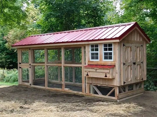 Buy this Beautiful and functional chicken coop