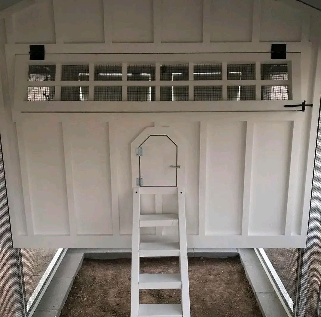 Buy customizable chicken coop