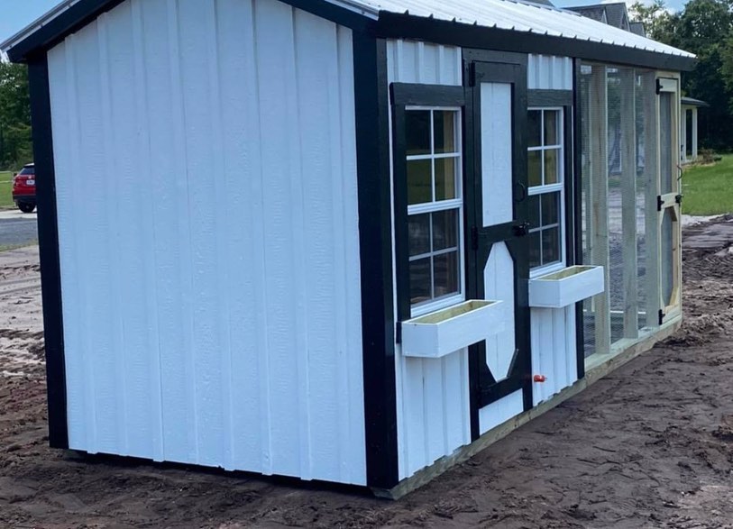 Buy awesome 6×8 chicken coop