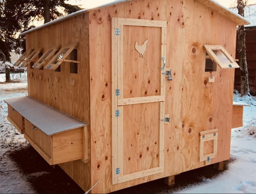 Buy chicken coops and runs starting at $550