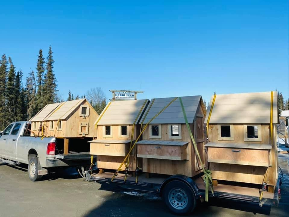 Buy chicken coops near me